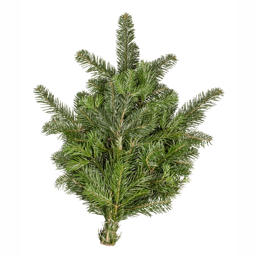 Handbund Nobilistanne 500 g als Weihnachtsdekorationen oder Winterschutz