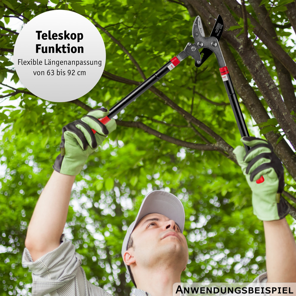 WALTER Getriebe-Astschere mit Teleskopfunktion image number 5