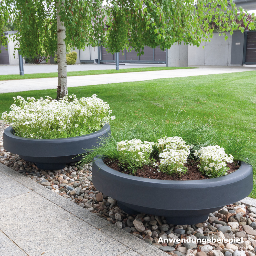 Prosperplast Pflanzschale Maze Cup &Oslash; 60 cm image number 1