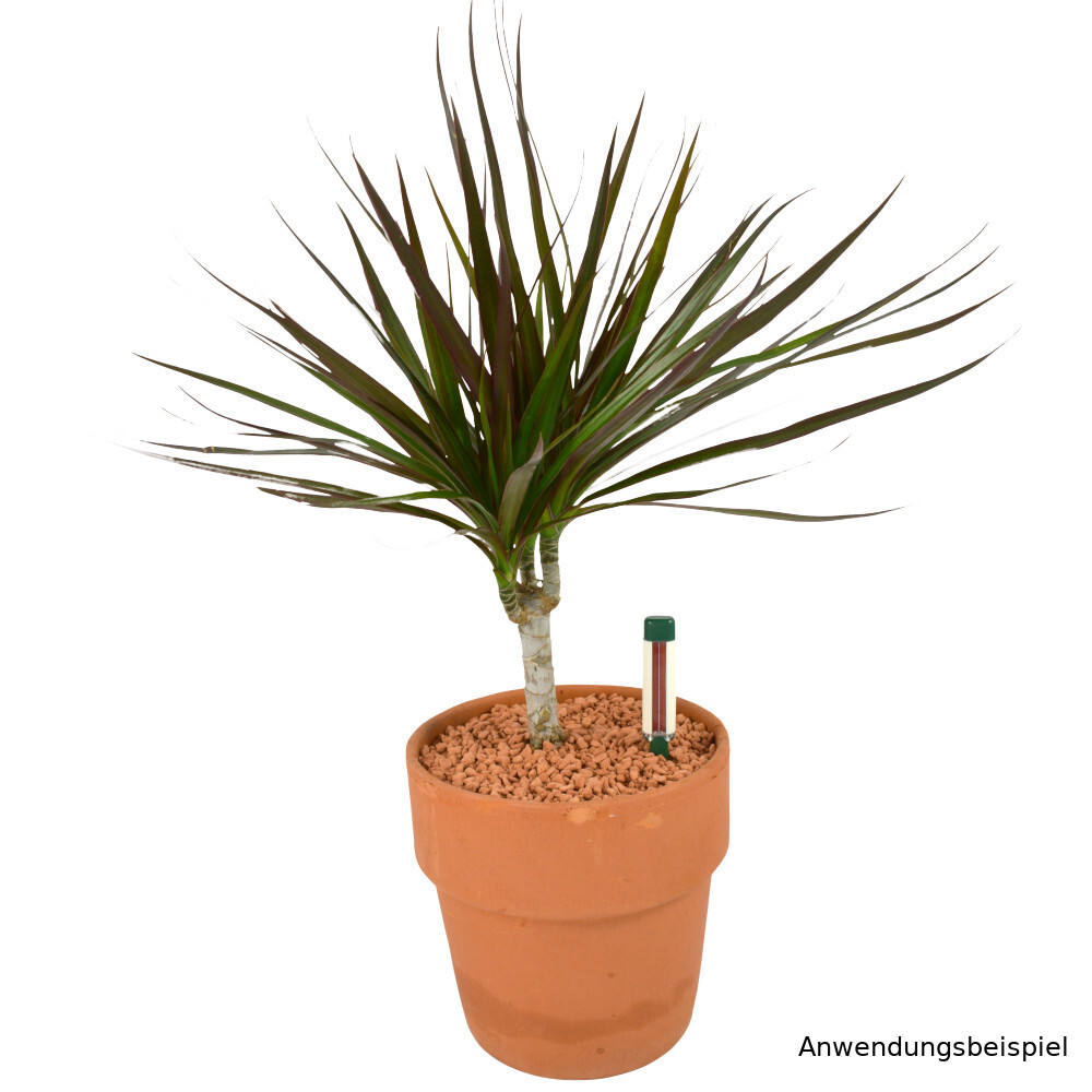 Seramis&reg; Gie&szlig;anzeiger 16 cm je 2 St&uuml;ck im Set f&uuml;r den Innenbereich image number 1