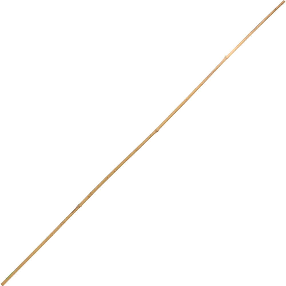 Tonkinstab 150 cm aus Bambus
