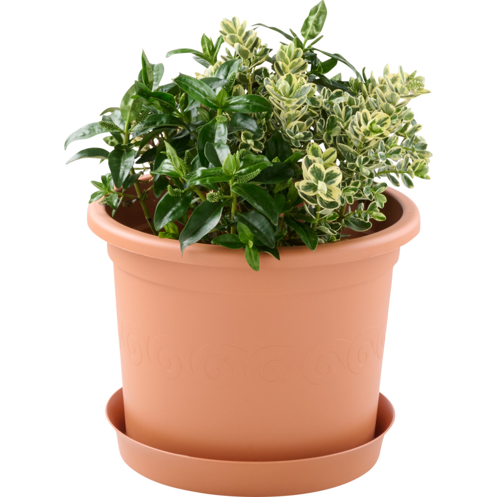 Prosperplast Blumentopf Plastica &Oslash; 40 cm in terracotta image number 1