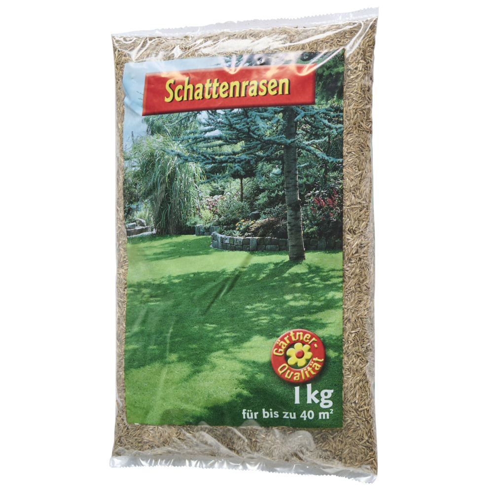 Schattenrasen Samen 1 kg Saatgut f&uuml;r 40 m&sup2; Rasenfl&auml;che image number 1