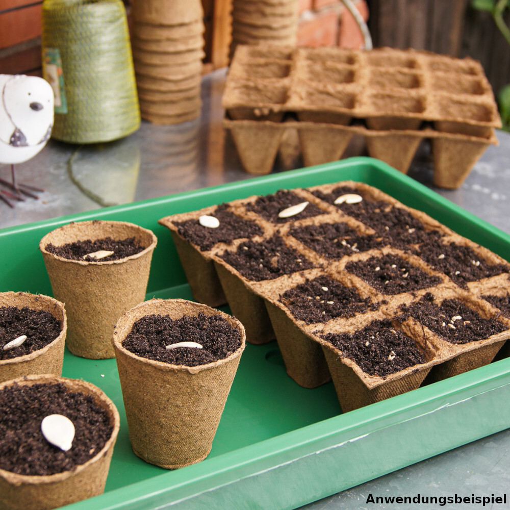 Anzuchtschale aus Kunststoff mit bel&uuml;ftetem Deckel image number 1