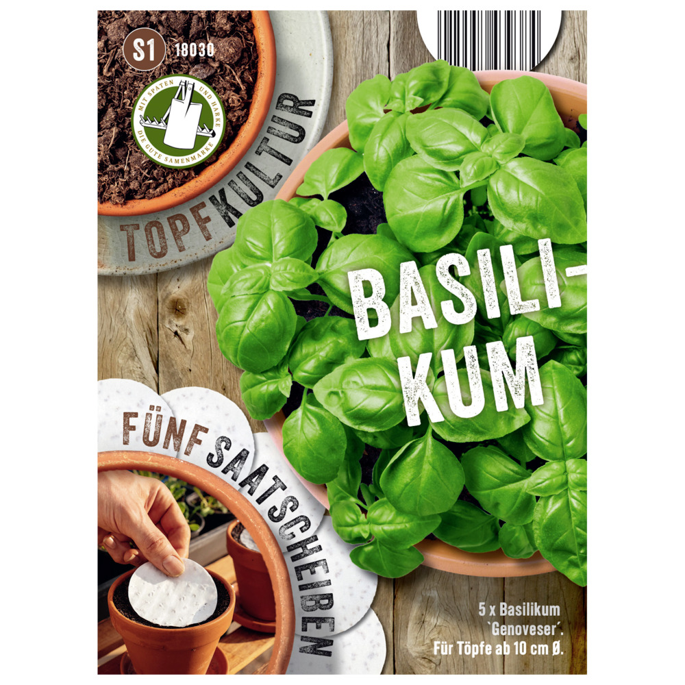 Saatscheiben Basilikum Genoveser 5 Scheiben