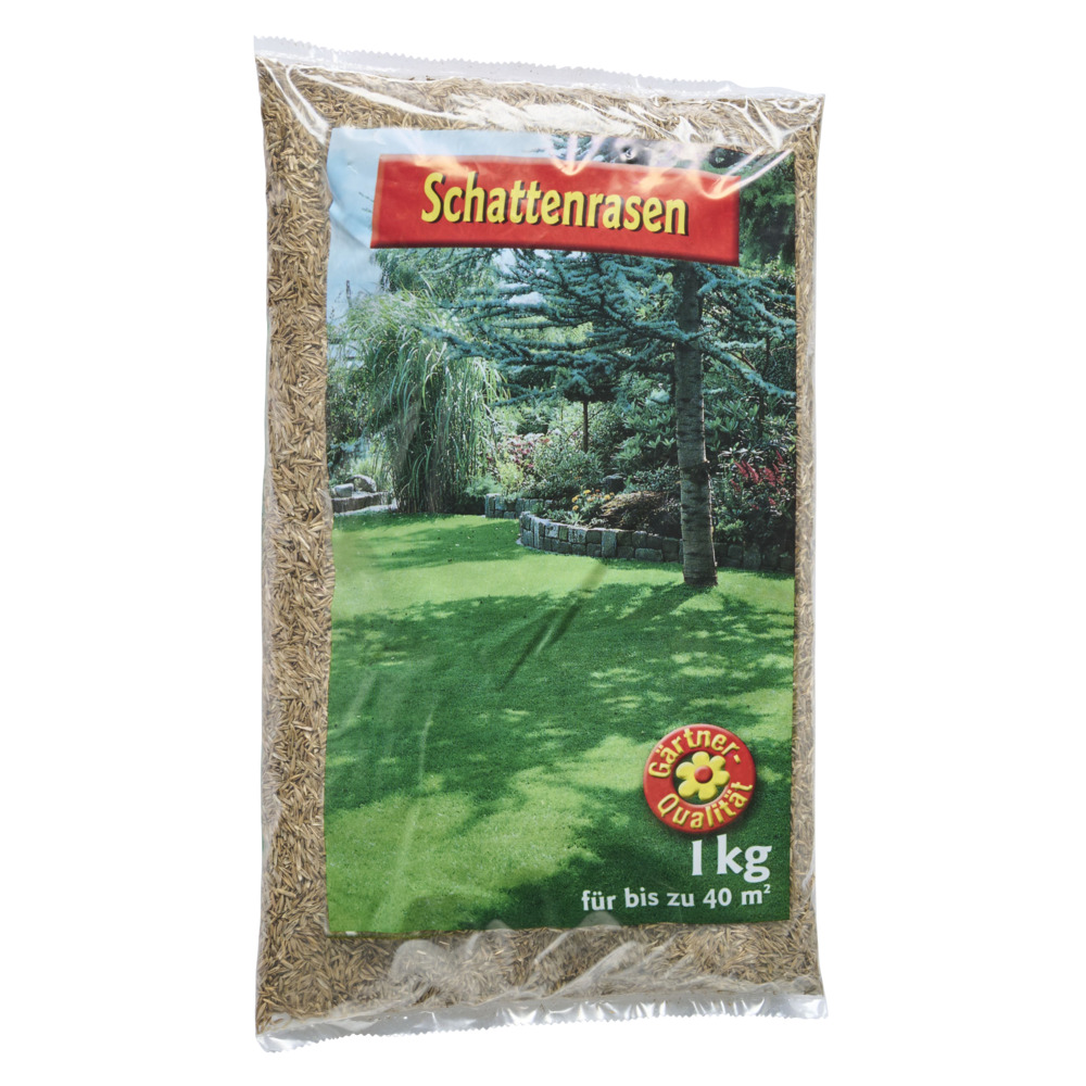 Schattenrasen Samen 1 kg Saatgut f&uuml;r 40 m&sup2; Rasenfl&auml;che