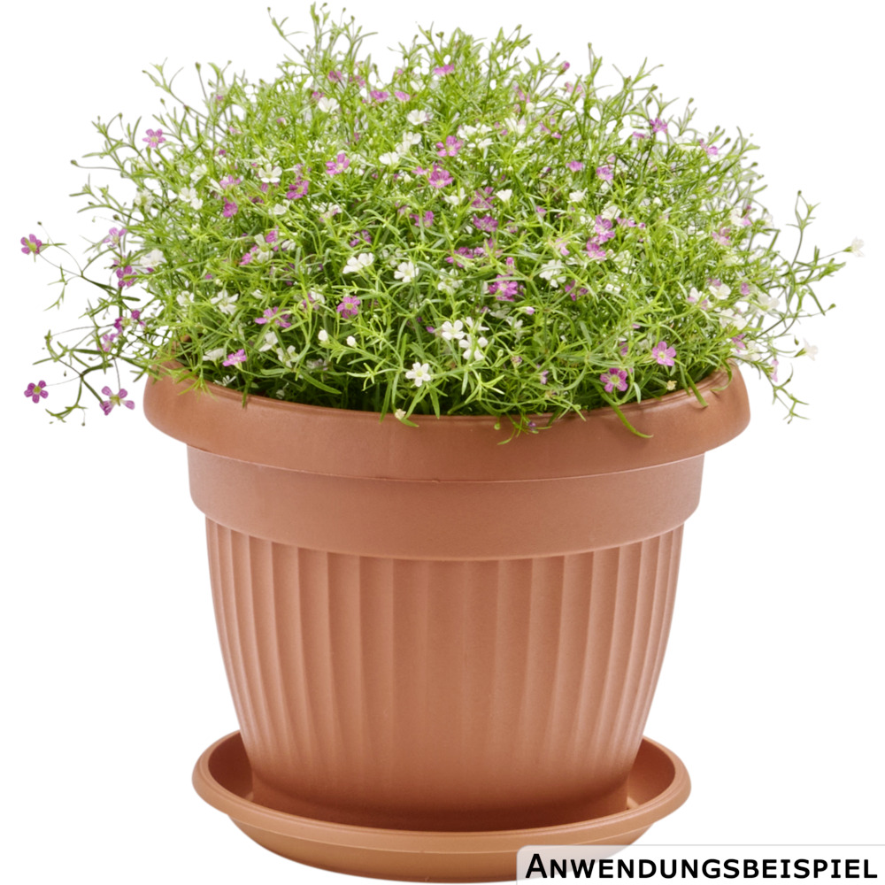 Prosperplast Untersetzer Terra rund &Oslash; 17 cm in Terracotta image number 1