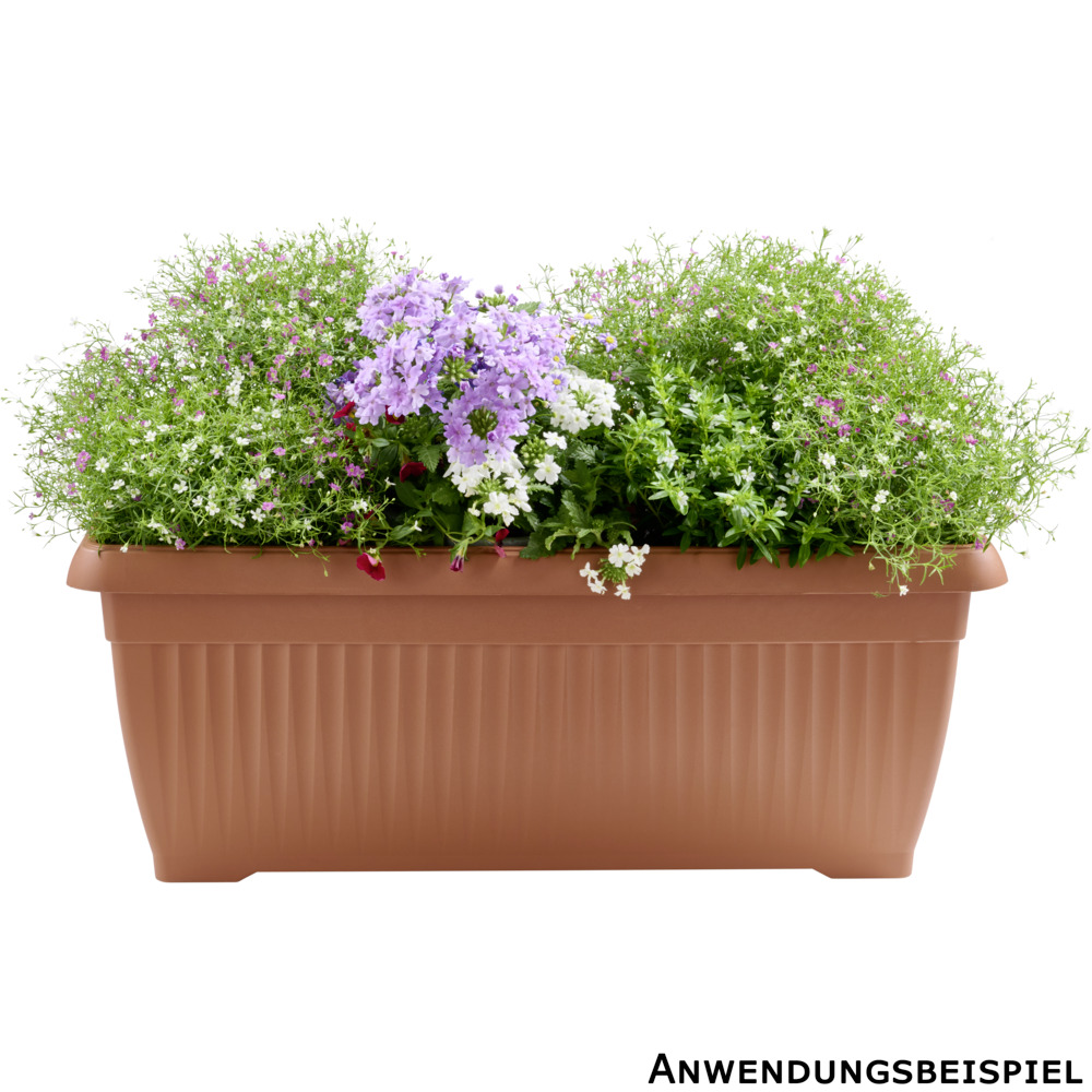 Blumenkasten Terra 60 cm terracotta image number 3