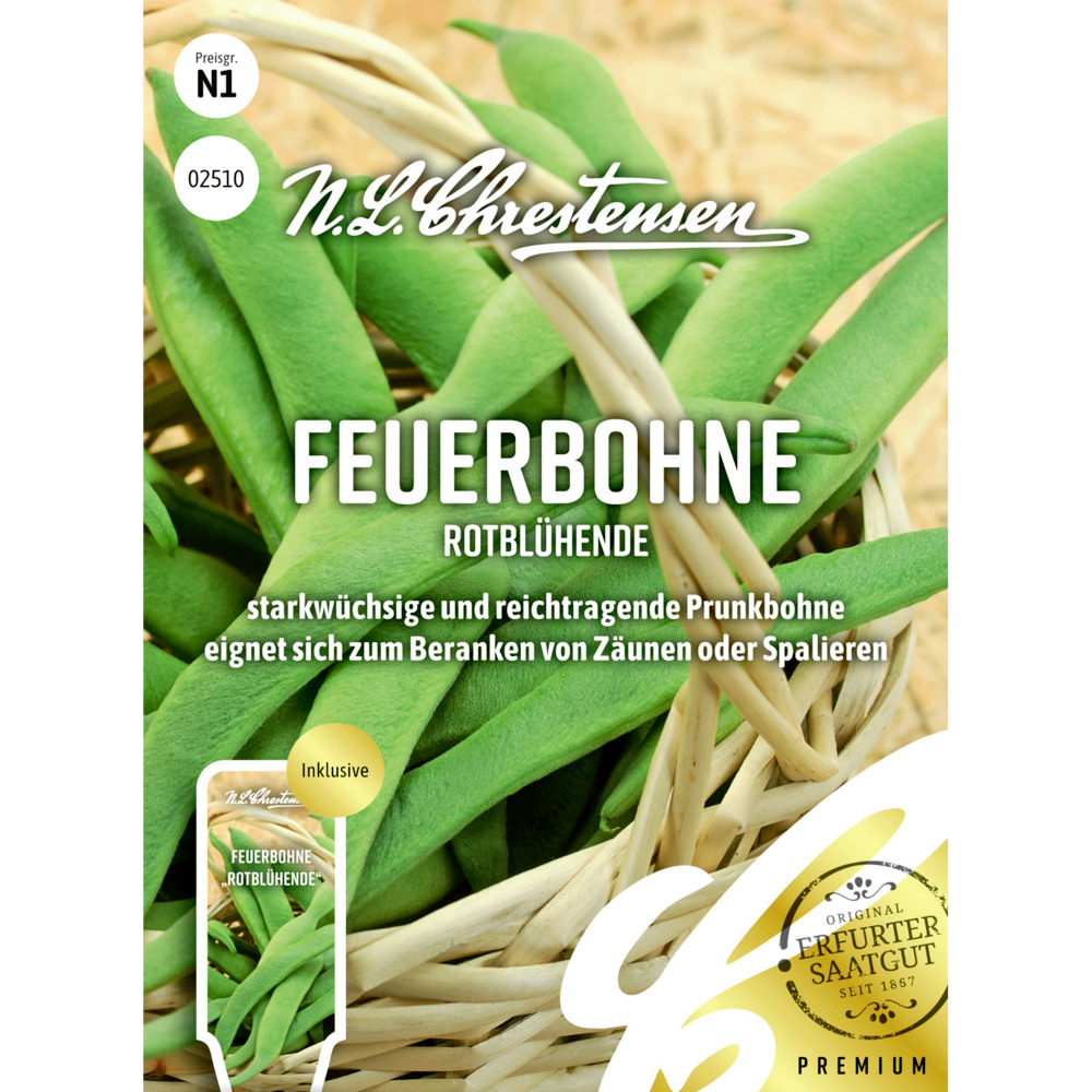 Saatgut Filetbohne Ferrari