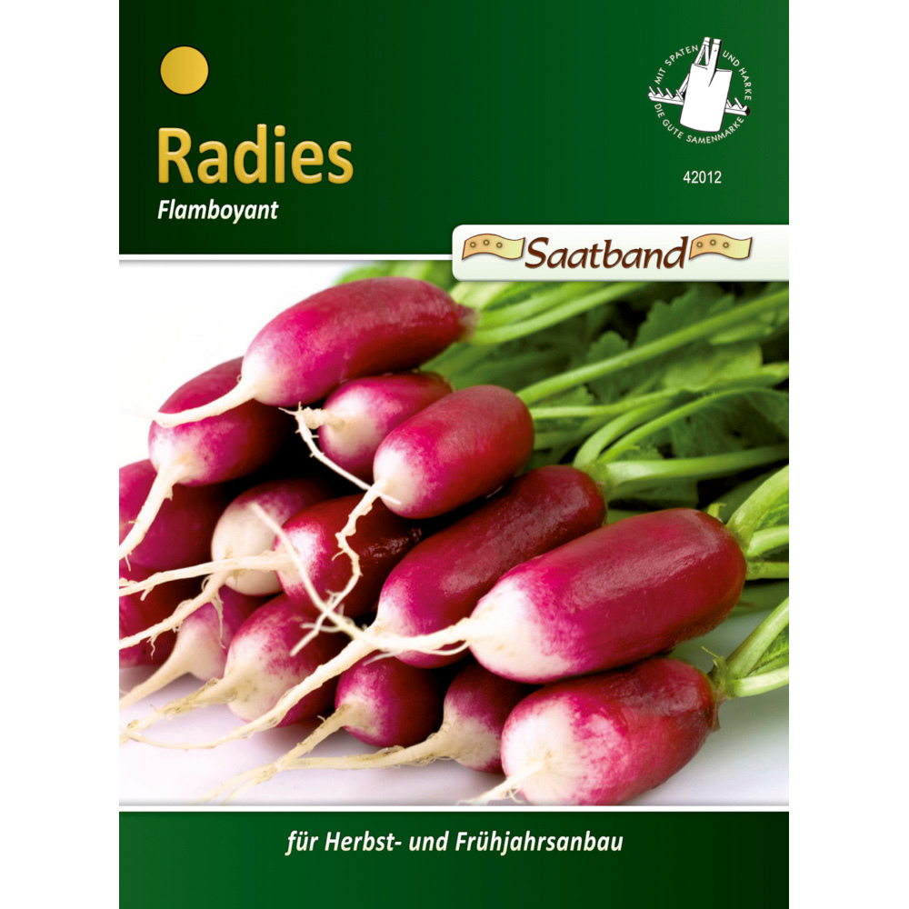 Saatgut Radies Flamboyant ca. 2 Meter Saatband