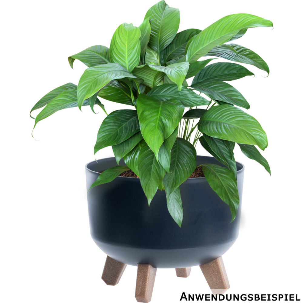 Pflanztopf Gracia Beton Effect &Oslash; 240mm Anthrazit image number 1