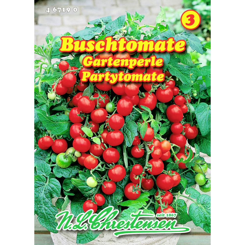 Saatgut Buschtomate Gartenperle ca. 80 Pflanzen