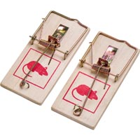 Sch&auml;dlingsbek&auml;mpfung image