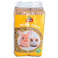 Nager und Kleintiere image